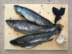 Семга теша (брюшки) холодного копчения: Форель радужная вяленая